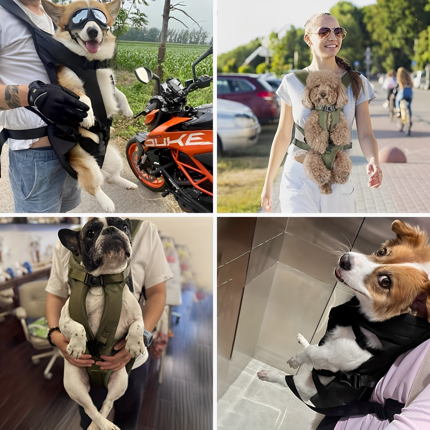 Dog front carrier backpack