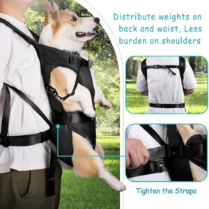 All-buckle closure system on dog hiking backpack — no zippers