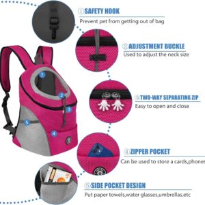 Woman hiking with small dog in backpack carrier on mountain trail